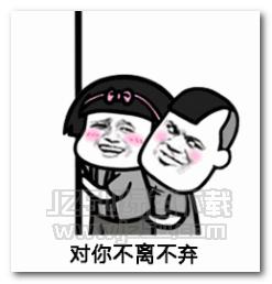 夏天来了蚊子对你最好表情包 完整版