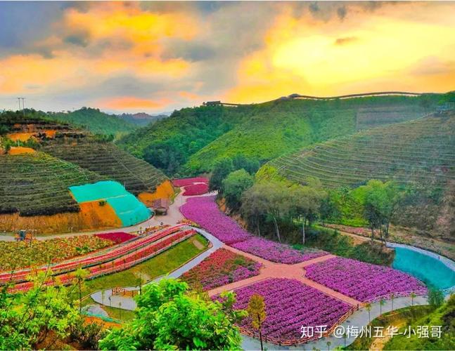 梅州五华新丰寨旅游景区越来越漂亮了,网红滑滑梯,走一波试试看
