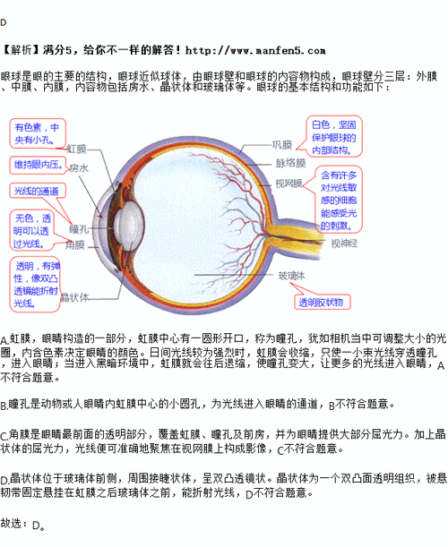 a.虹膜 b.瞳孔 c.角膜 d.晶状体
