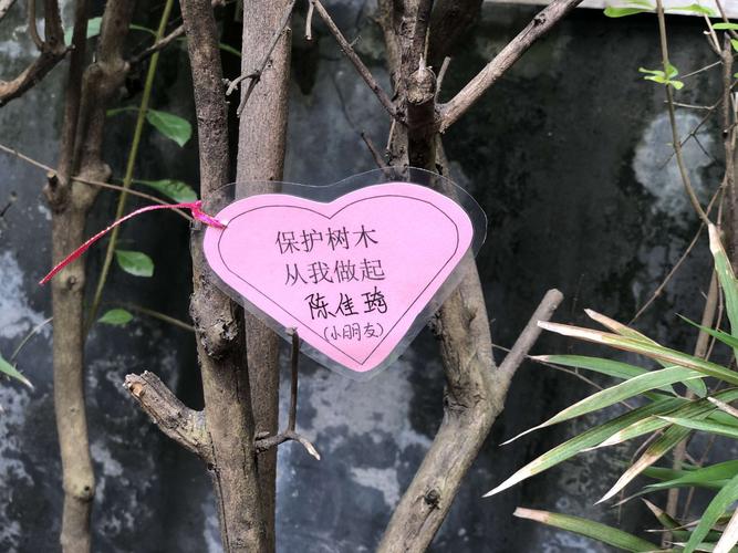 教师带领幼儿把"护树卡""爱心卡"挂在树上.