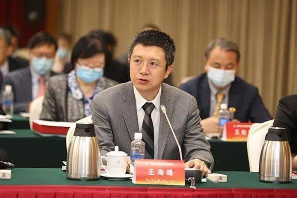 2020年度caai优秀科技工作者,百度首席技术官,caai fellow王海峰参加