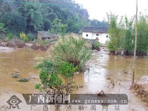 事故发生后,平乐县,二塘镇各级部门领导相继赶到现场,连夜转移泥浆流