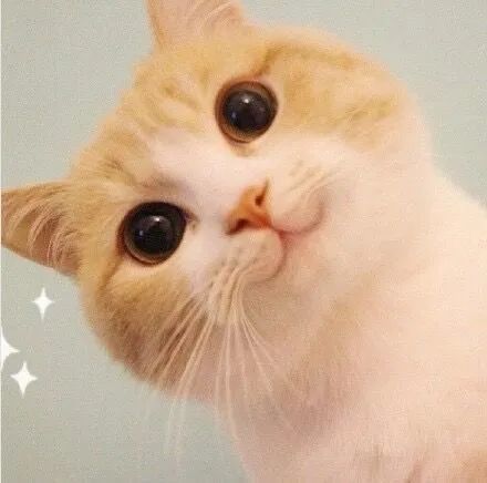 100张个性微信头像,任你挑选～免费高清壁纸大全