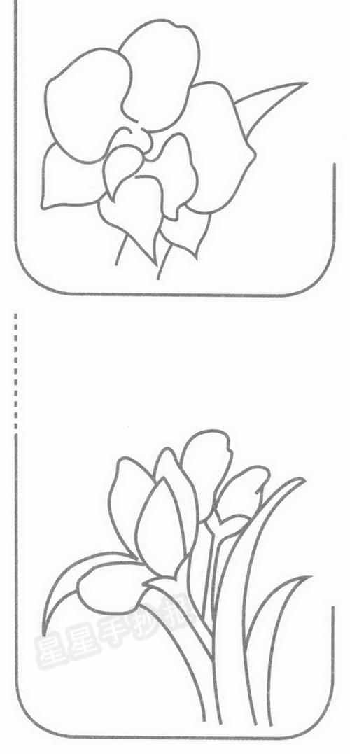 兰花简笔画图片教程