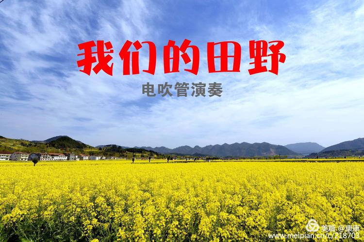 《我们的田野》 康康电吹管演奏