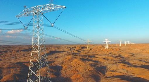 世界环境日国网绿为绿水青山赋能