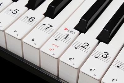 无胶吸附88键琴键贴 电子琴键盘贴 五线谱简谱二合一没胶不伤键盘