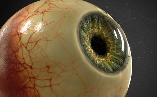 3d模型欣赏眼球眼睛写实