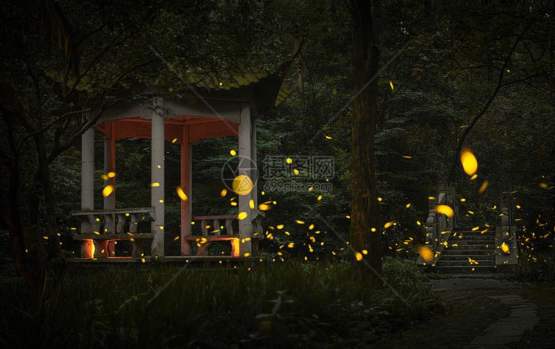 夏天夜晚南京灵谷寺的萤火虫