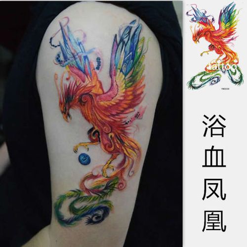 彩色凤凰大图纹身贴防水女款持久性感身体彩绘古装