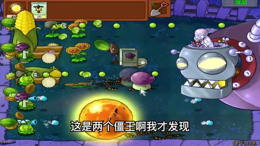 植物大战僵尸两僵王错开时间搞我隐形的僵王竟是友军游戏