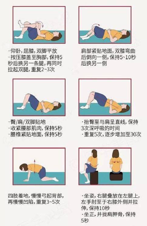 腰椎向后滑脱的锻炼图片 (第1页)