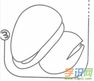 松子的画法步骤儿童画绘画教程