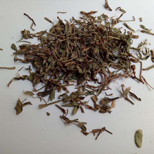 中草药 扁蓄 品种齐全 进店咨询