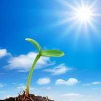 微信头像心向阳光图片