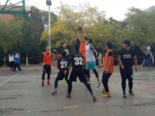 我校第十六届"宝塔杯"篮球赛圆满落幕-银川能源学院—