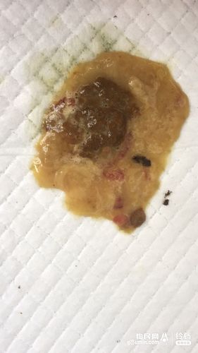 狗狗拉肚子了
