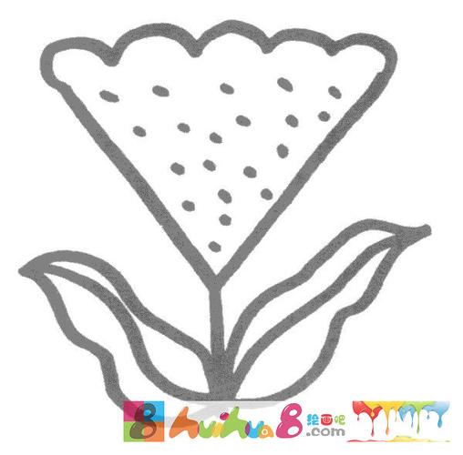 鸡冠花简笔画图片画法