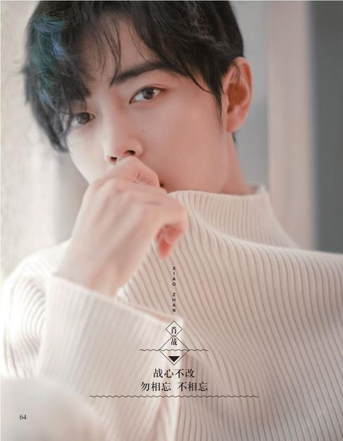 情人节一起来看肖战可好