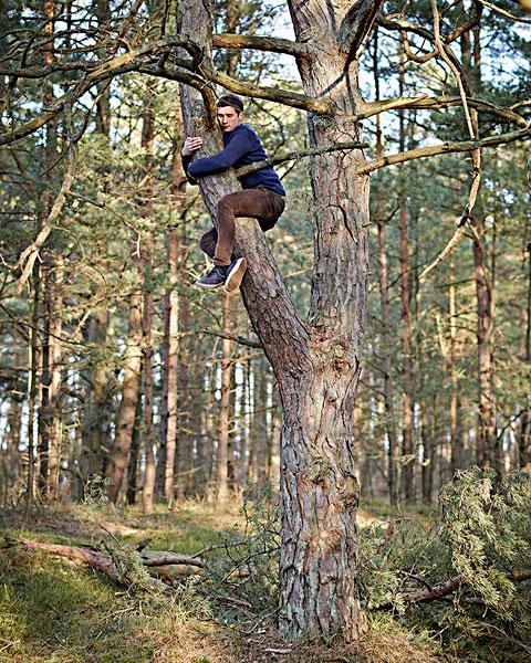 抱树素材-抱树素材大全-全景图片