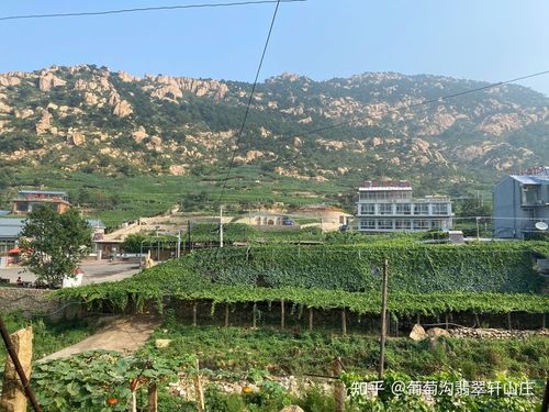 昌黎葡萄沟风景区攻略-昌黎葡萄沟农家院-昌黎葡萄沟农家院哪家好