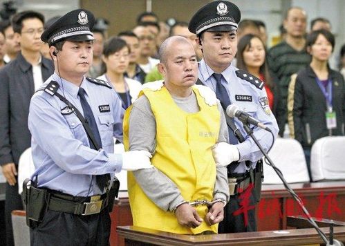 聂树斌案不是王书金干的!(图)