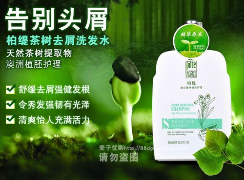 澳洲柏缇植胚茶树去屑洗发水清洁强健发根洗发露300ml