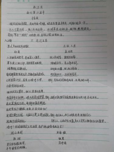 西吉县田坪中学2016届学生——九年级语文优秀寒假作业展