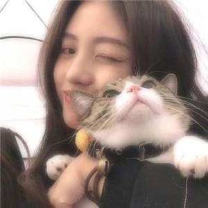 女生抱着猫的可爱头像