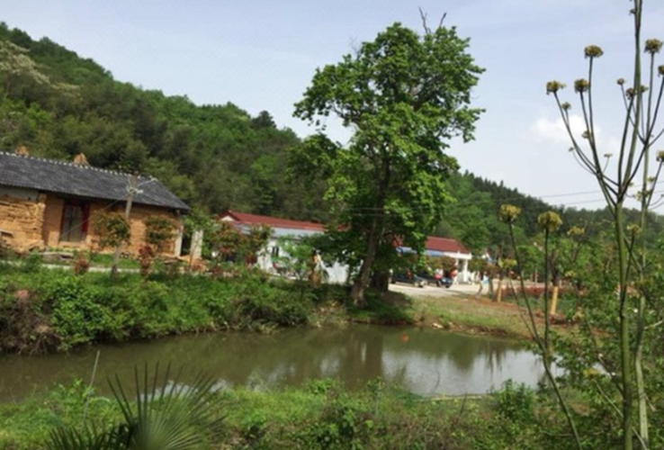 随州万景园林山庄特色民宿(临近大洪山)