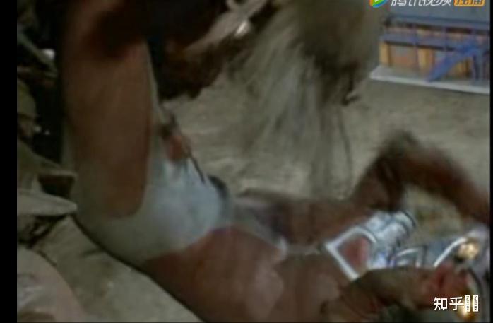 奥特曼有没有男性生殖器