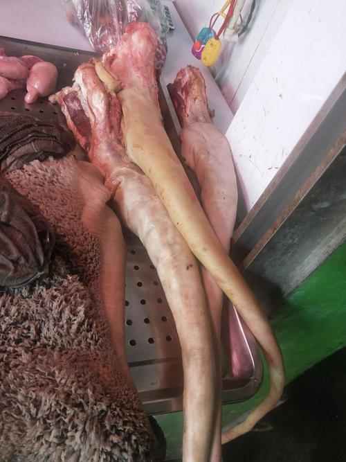 新鲜牛尾巴