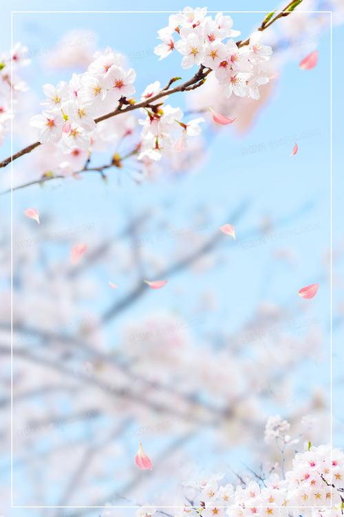 春天桃花盛开小清新背景
