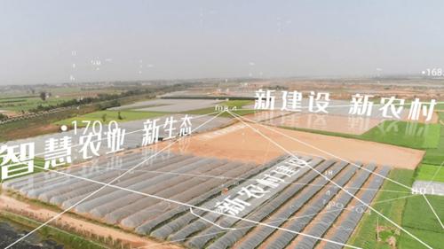 十四五规划建议释放农业重要信号