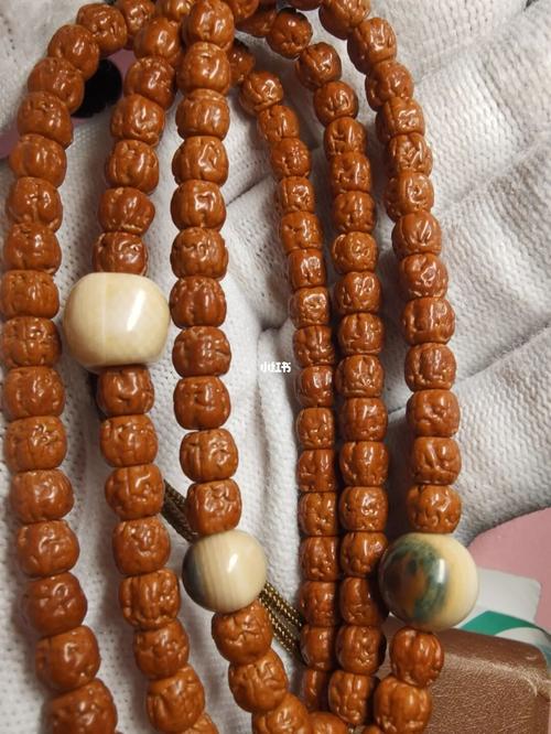 佛手_佛手小金刚_兴趣爱好_兴趣爱好其他