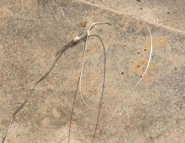 野鸡绊脚套制作方法以及使用技巧