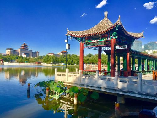 今天下午莲花池公园太美了!阳光灿烂,白云朵朵.