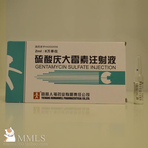 硫酸庆大霉素片