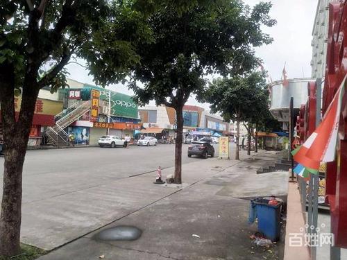 暂无 $ 快速贷款 面积:100平米 分类:临街店铺 地址:寮步 寮步镇凫山