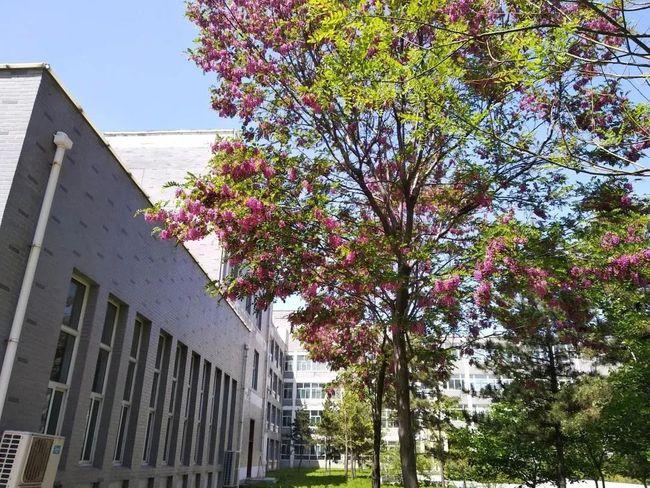 吕梁学院附中,离石区江阴高级中学:招生简章