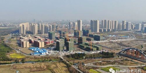 奔跑在希望田野上的大江东,值得无脑摇吗?