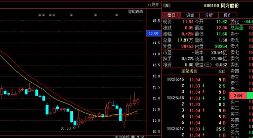 同方股份(600100):后市展望精准预测,散户必看