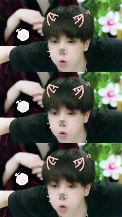 华晨宇 歌手 小可爱