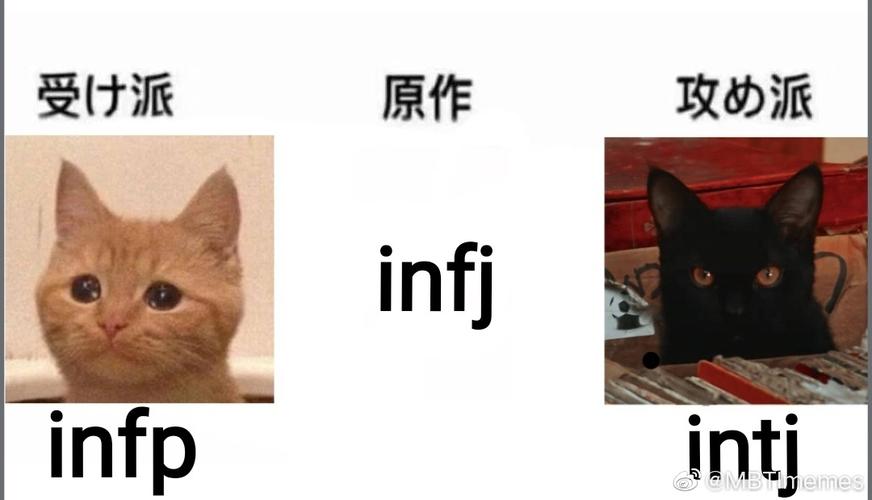 长期更新mbti的meme梗图