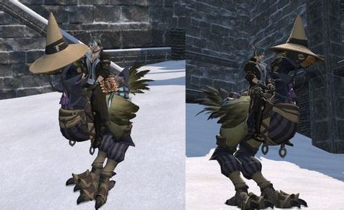 ff14陆行鸟装甲福音 各色鸟甲收集汇总