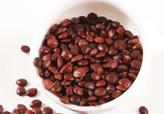 酸枣仁的功效与作用