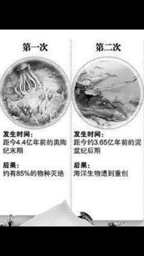 生命大爆发 从虫到鱼 披"盔甲"的鱼 第三章 第一次生物大灭绝事件 颌
