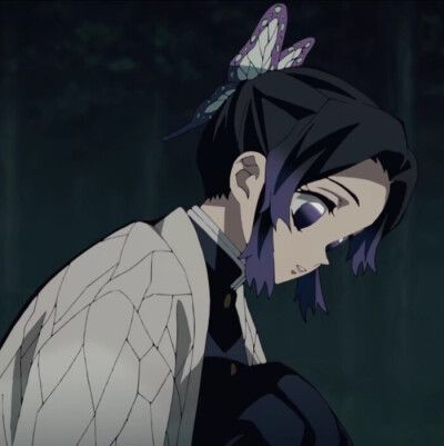 《鬼灭之刃》蝴蝶忍 香奈乎 超清