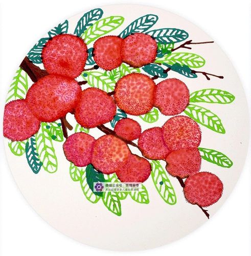 杨梅,水彩笔,水,宣纸