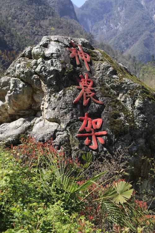 神农架自然保护区